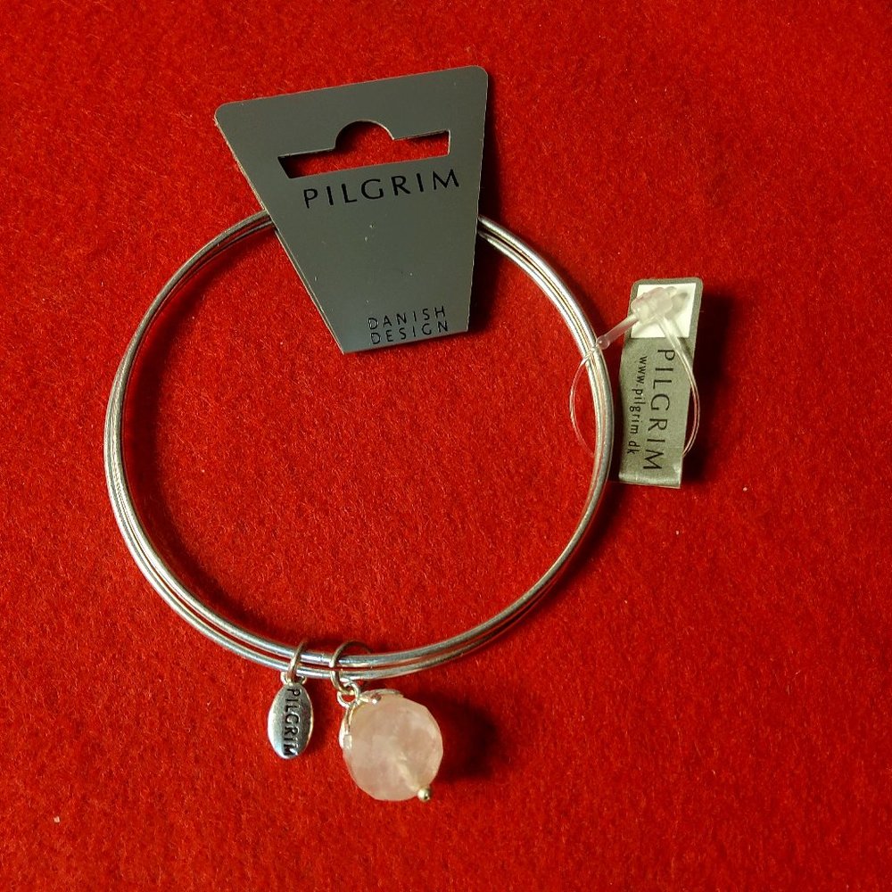 Pilgrim Skanderbory Necklace/Bracelet